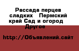 Рассада перцев сладких - Пермский край Сад и огород » Другое   